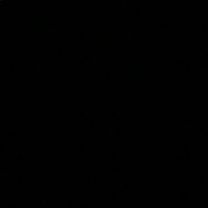 Meet your Posher, Sasha